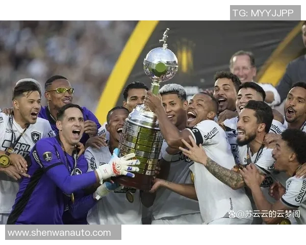 尼日尔足球天才崛起探索球星背后的奋斗与荣耀之路